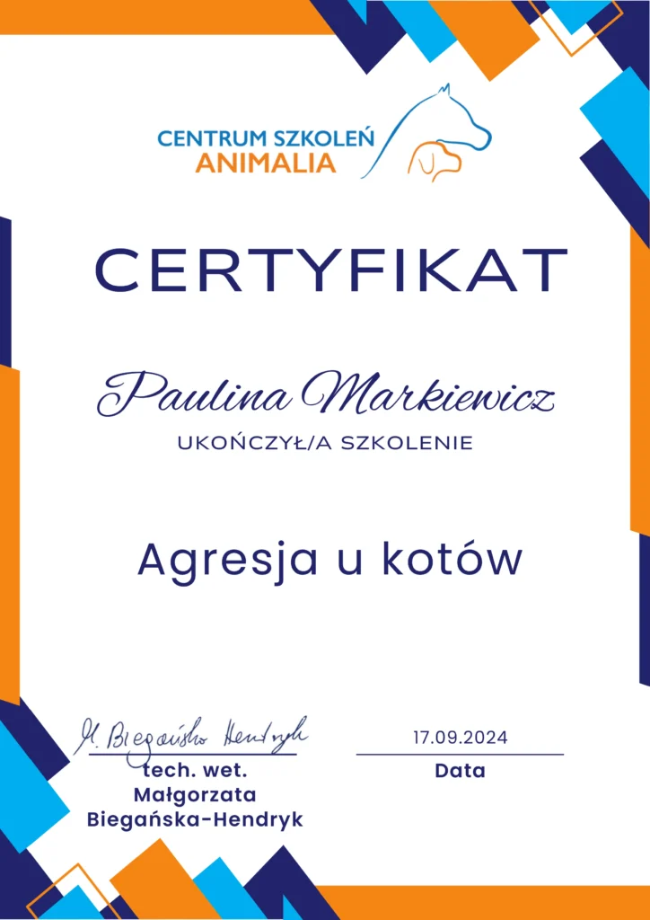 AGRESJA U KOTOW certyfikat superkot behawiorysta
