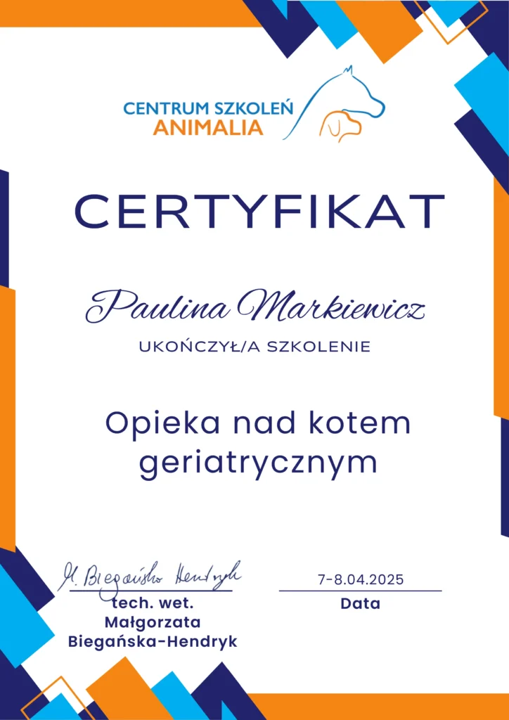 OPIEKA NAD KOTEM GERIATRYCZNYM certyfikat superkot behawiorysta