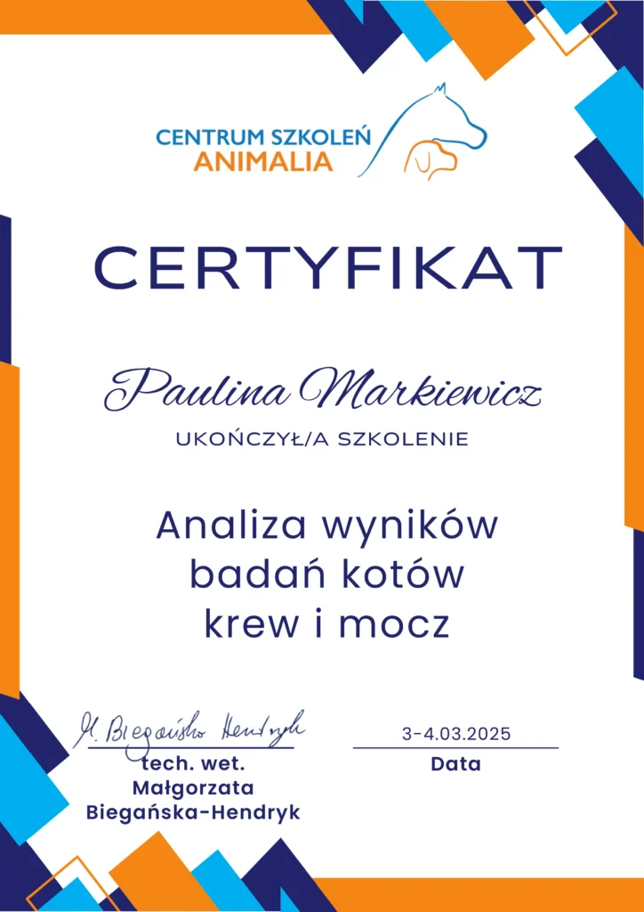 Paulina Markiewicz ANALIZA WYNIKOW