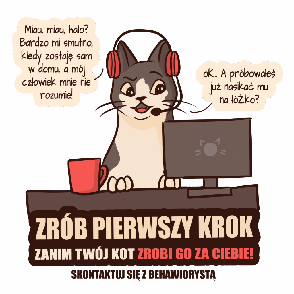grafika kota koci behawiorysta z napisem '' zrób pierwszy krok'' przedstawiająca kota przed komputerem